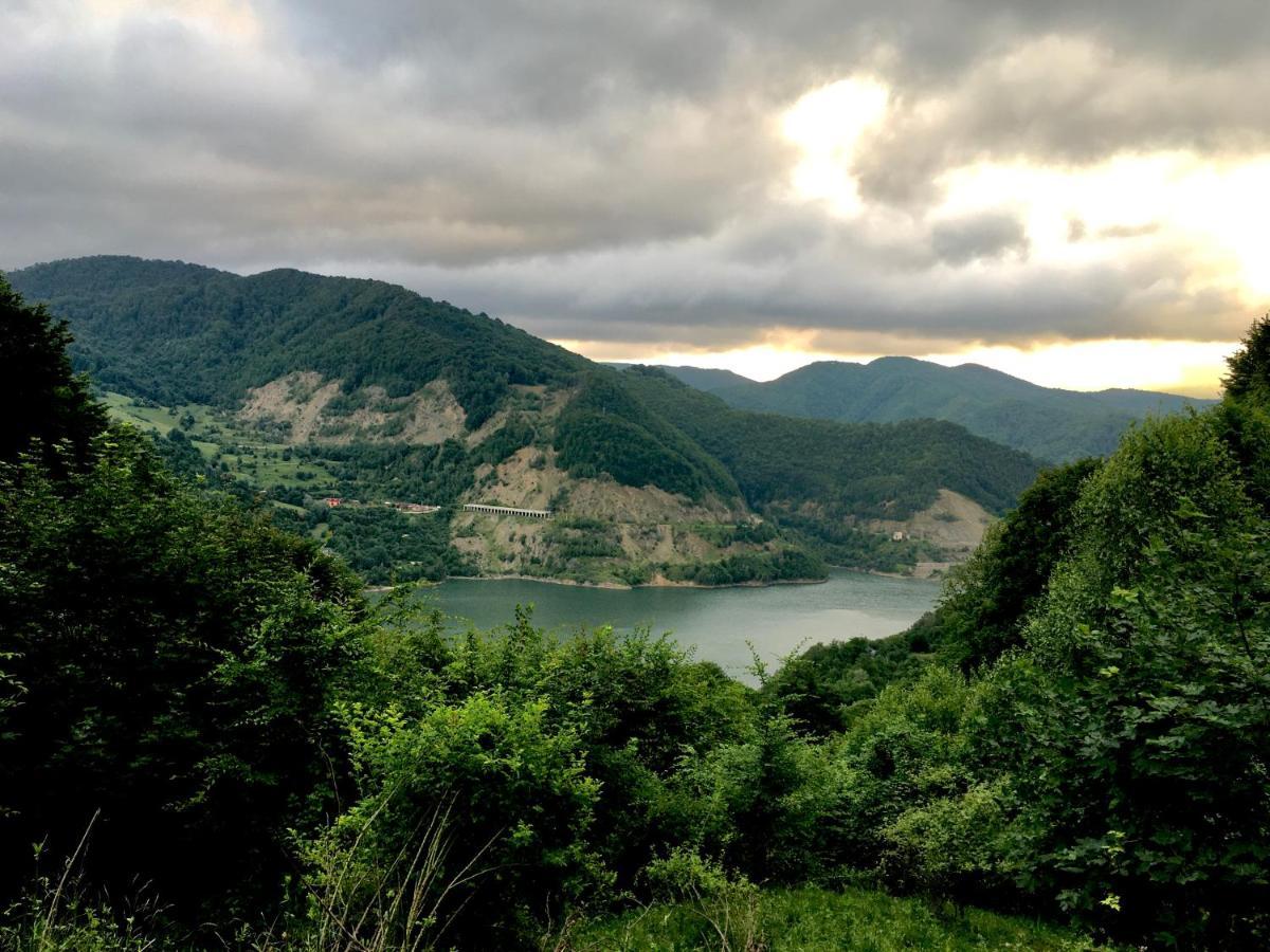 Casa Camelia Villa Nehoiu Bagian luar foto