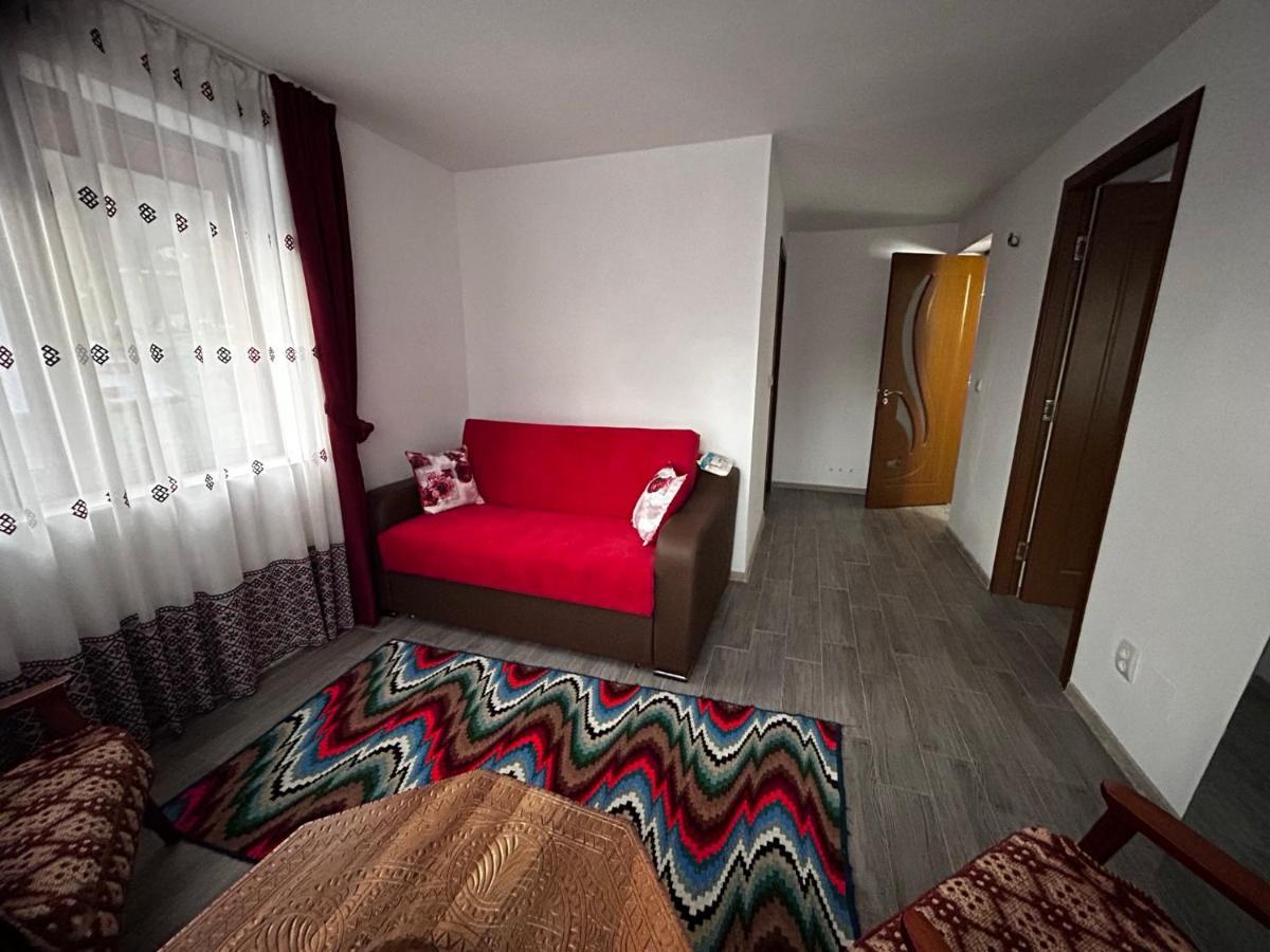 Casa Camelia Villa Nehoiu Bagian luar foto