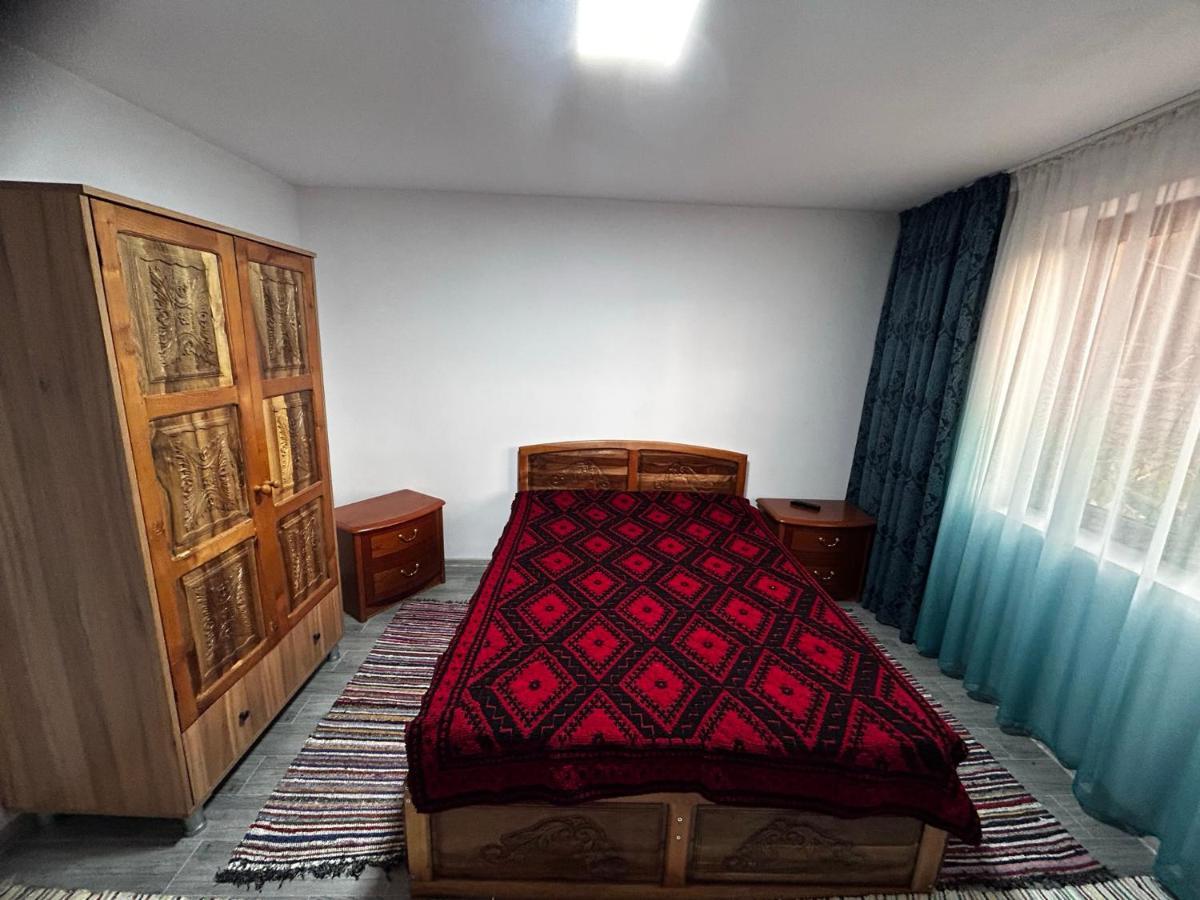 Casa Camelia Villa Nehoiu Bagian luar foto