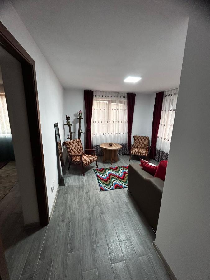 Casa Camelia Villa Nehoiu Bagian luar foto