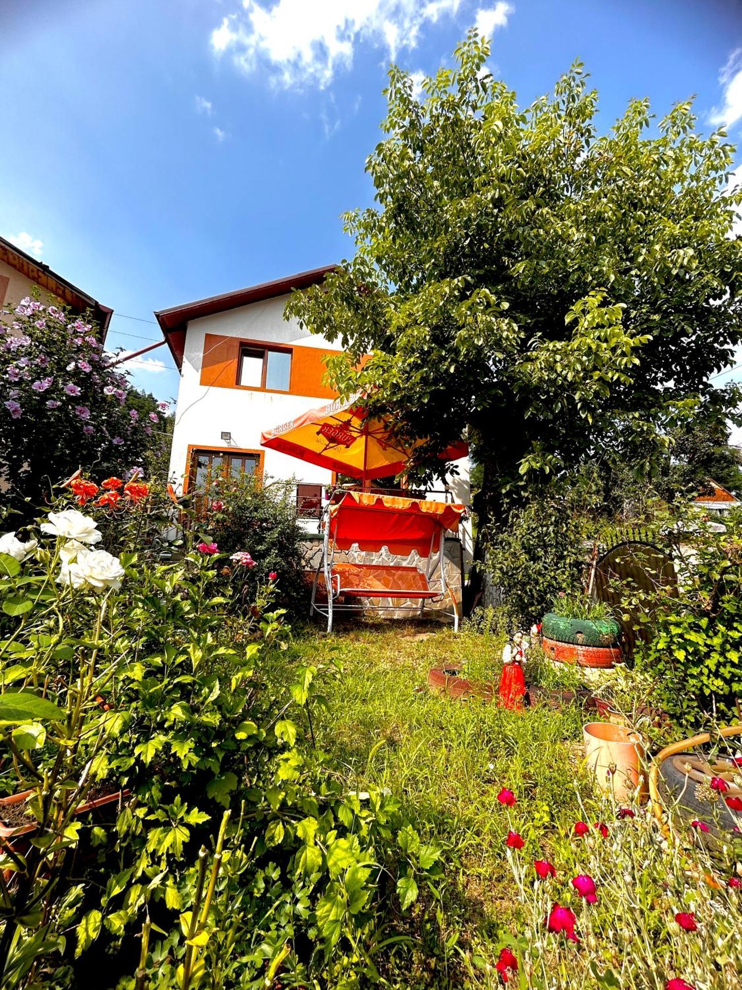 Casa Camelia Villa Nehoiu Bagian luar foto